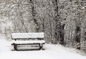 bench-in-snow_opt