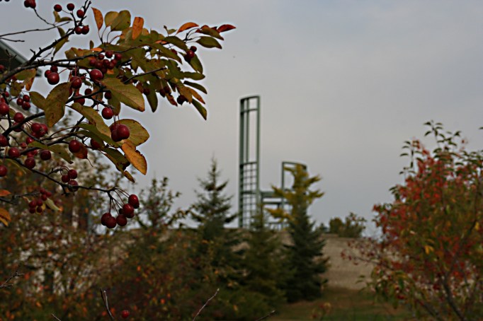 bell-tower-with-fall-leaves