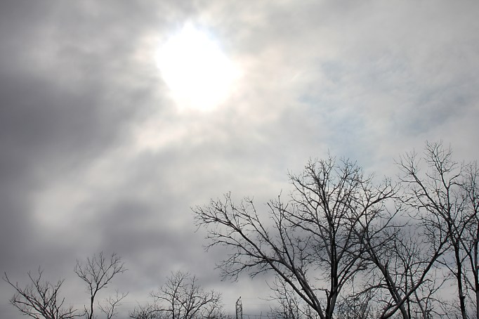 sky-with-light-and-trees
